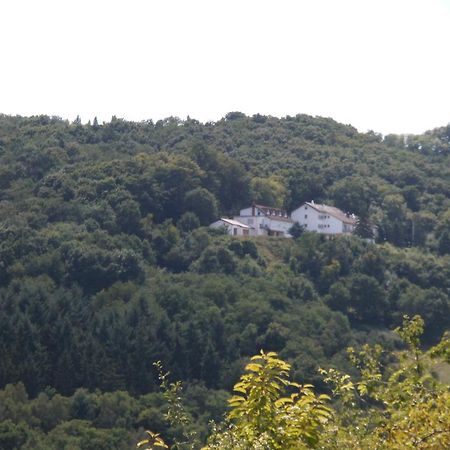 Burg-Hotel Obermoschel Kültér fotó