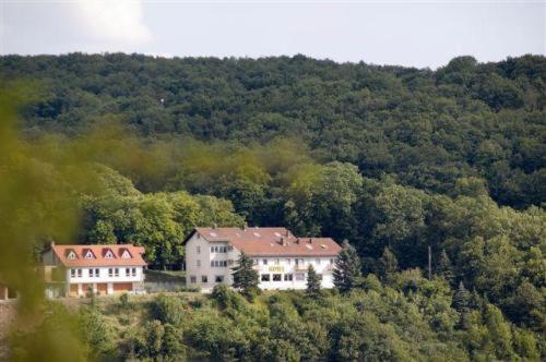 Burg-Hotel Obermoschel Kültér fotó