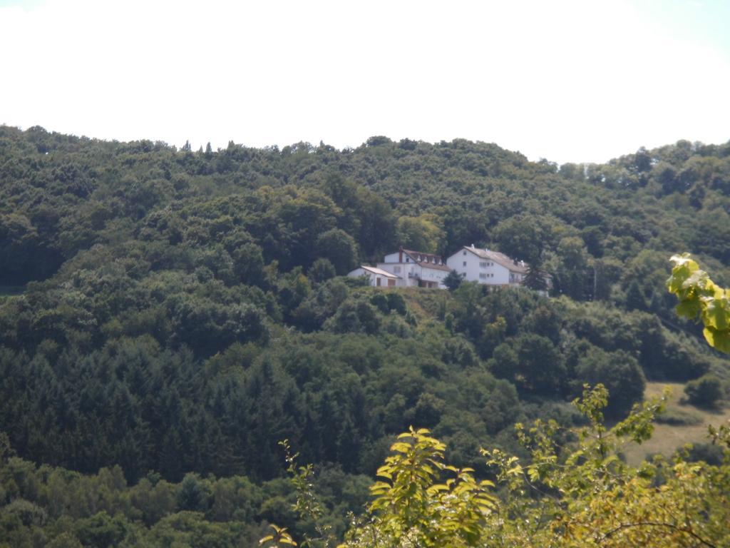 Burg-Hotel Obermoschel Kültér fotó