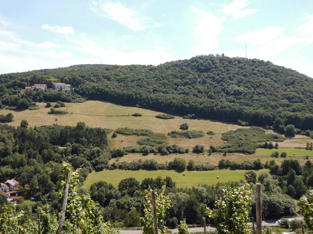 Burg-Hotel Obermoschel Kültér fotó